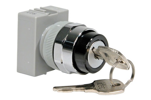 ASW2K11